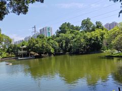 -晓港公园