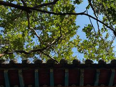 -碑林公园