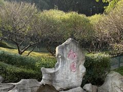 -重庆彩云湖湿地公园