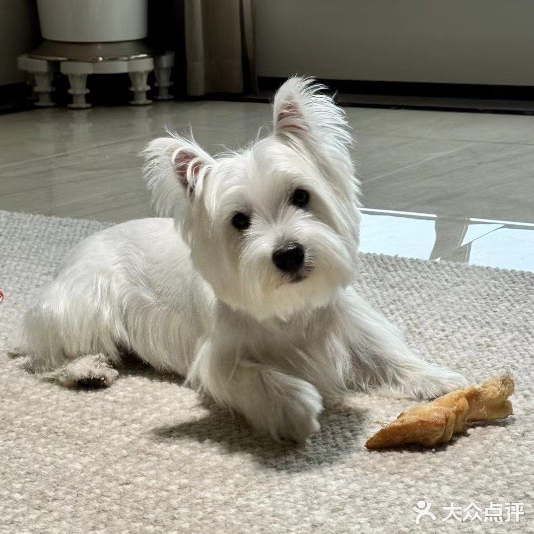 甜蜜蛋糕时刻 🍰🎂