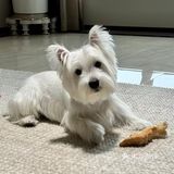 甜蜜蛋糕时刻 🍰🎂