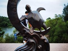 -广东惠东海龟国家级自然保护区