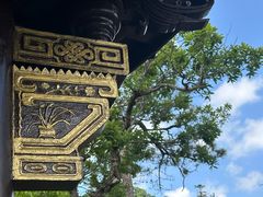 -天目山大树王景区
