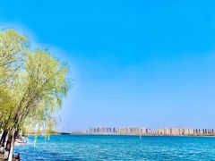 -丁香湖公园