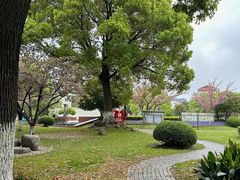 -七宝老街-闵行市民文化广场
