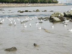 -深圳湾公园(南山区)