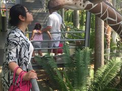 -东芭乐园