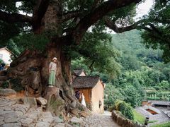 -杨家堂村
