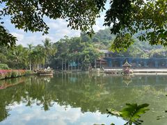 -西双版纳原始森林公园