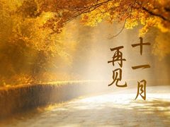 -雄孩子机器人少儿编程STEM教育(迪诺水镇校区)