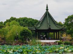 -无锡蠡湖国家湿地公园-蠡园