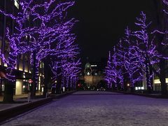 -北海道厅旧本厅舍(旧本庁舎)