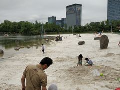 -大宁郁金香公园-停车场