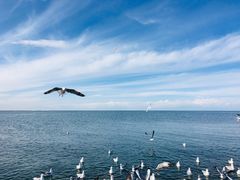 -青海湖国家重点风景名胜区