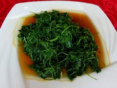 酒香金花菜-石家饭店中市店