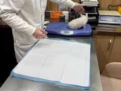 -瑞派名望24h动物医院异宠专科·猫专科·骨科·重症监护分院