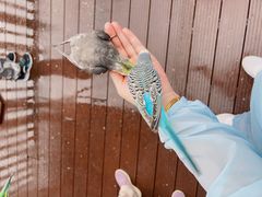 -燕塞湖鸟语林景区