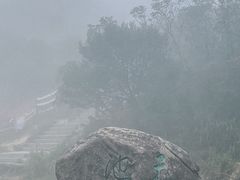 -梧桐山风景名胜区