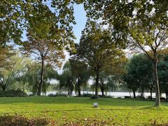 -东华大学(松江校区)