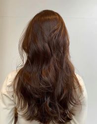 -时尚殿堂salon