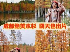 -白鹭湾湿地公园