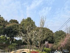 -铁山坪森林公园