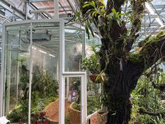 -国家植物园南园