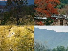 -塔川景区