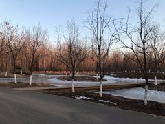 -东郊湿地公园