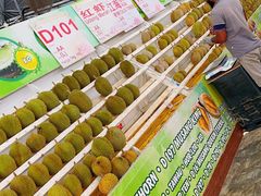 -都念榴莲·城市榴莲
