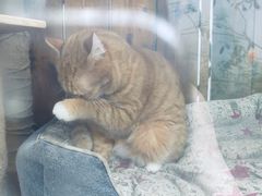 -边渡咖啡烘焙店(昙华林店)