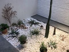 -禾康家蛋糕店