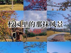 -风云岭森林公园