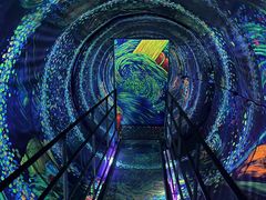 -上海梵高星空艺术馆(南京路旗舰店)