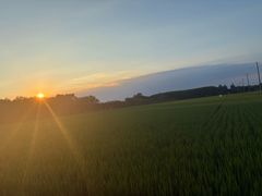 -嘉北郊野公园