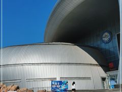 -烟台海昌鲸鲨海洋公园