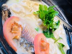 鲫鱼水饺-陶德砂锅(蜀汉路店)