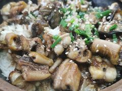 招牌黄鳝煲仔饭-红星光发煲仔饭(大石街店)