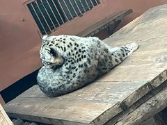 -青藏高原野生动物园