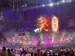-广州长隆国际大马戏