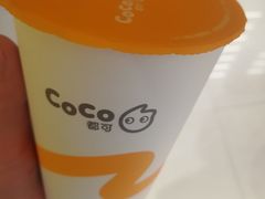 -CoCo都可(卓展店)