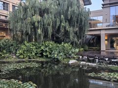 -昆明洲际酒店
