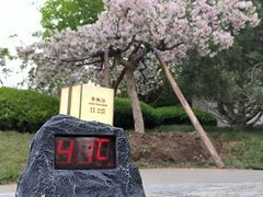 -静之湖度假区