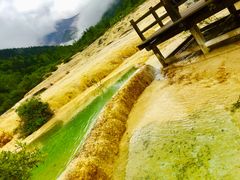 -黄龙山原始森林景区