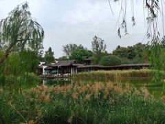 -日出青木·杭帮菜名店
