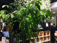 -ZM COFFEE(西安路店)