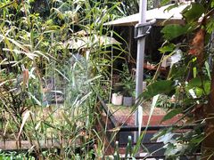 -谷咖啡·鲜花绿植花园餐厅