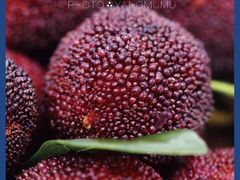 -温州一家人美食(西木头市店)