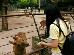 -祥源·阜阳生态乐园