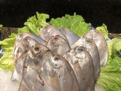 -星伦多自助料理·涮烤一体(虹悦城店)